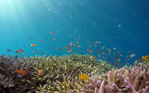 Zanzibar, Tanzania