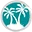 Oasis Network logo